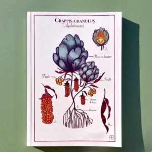 Le carnet "Grappis granulus", 100 pages blanches.