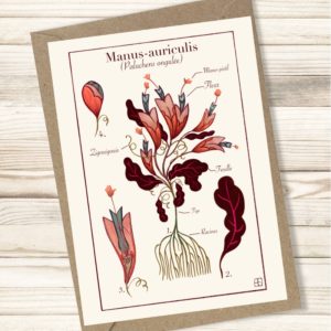 Carte "Manus-Auriculis"