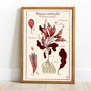 Affiche illustrée "Manus auriculis"